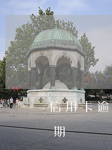 信用卡逾期法院支付令(法院如何判信用卡逾期)