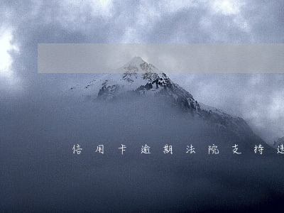 信用卡逾期法院支持违约金吗