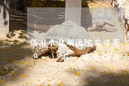 信用卡逾期法院文件寄過來了(法院現(xiàn)在還接受信用卡逾期案件嗎)