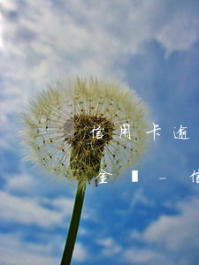 信用卡逾期法院是先調(diào)解還本金嗎-信用卡逾期法院是先調(diào)解還本金嗎