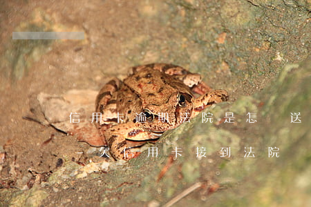 信用卡逾期法院是怎樣送達(dá)傳票的-欠信用卡接到法院傳票