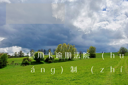 信用卡逾期法院會(huì)上門強(qiáng)制執(zhí)行嗎-信用卡逾期法院會(huì)上門強(qiáng)制執(zhí)行嗎