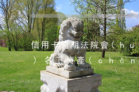 信用卡逾期法院會(huì)凍結(jié)名下資產(chǎn)嗎-信用卡逾期法院會(huì)凍結(jié)名下資產(chǎn)嗎怎么辦