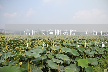 信用卡逾期法院會(huì)凍結(jié)銀行卡嗎-信用卡逾期法院會(huì)凍結(jié)銀行卡嗎