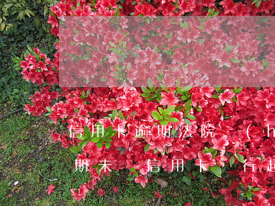 信用卡逾期法院會(huì)判決那些款 逾期未還信用卡,銀行起訴判幾年