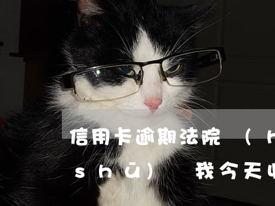 信用卡逾期法院會(huì)收到通知書(shū)嗎(我今天收到信用卡逾期逮捕通知書(shū))