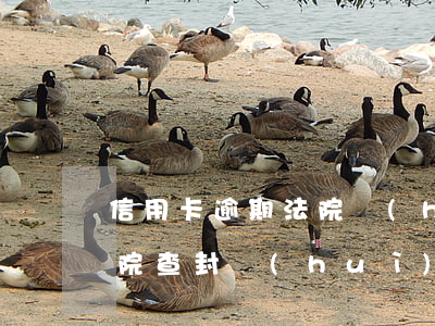 信用卡逾期法院會(huì)查封房子嗎(法院查封會(huì)查封信用卡嗎)