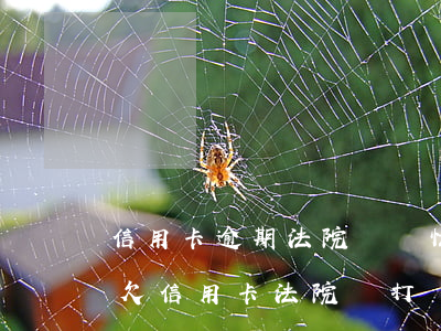 信用卡逾期法院會幫忙調(diào)解嗎(欠信用卡法院會打電話過來調(diào)解嗎)