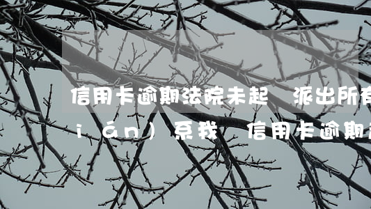 信用卡逾期法院未起訴派出所 有律師聯(lián)系我說信用卡逾期起訴了