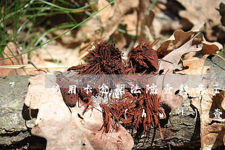 信用卡逾期法院查封房子(欠信用卡錢(qián)會(huì)查封房子嗎)