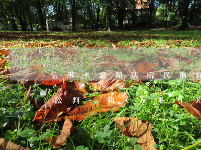 信用卡逾期法院民事判決書 欠信用卡民事訴訟判決執(zhí)行