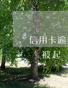 信用卡逾期法院沒有起訴會抓人嗎(欠信用卡會被起訴抓起來么)
