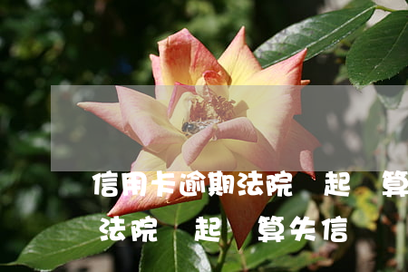 信用卡逾期法院沒起訴算失信嗎(信用卡逾期法院沒起訴算失信嗎)