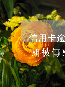 信用卡逾期法院發(fā)了傳票(信用卡逾期被傳票怎么辦)