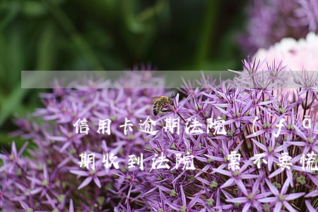 信用卡逾期法院發(fā)來傳票(信用卡逾期收到法院傳票不要慌,一定要注意這7點)