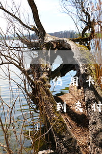信用卡逾期法院發(fā)來支付令(逾期收到支付令)