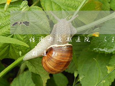 信用卡逾期法院發(fā)傳單-信用卡 逾期 通知