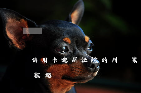 信用卡逾期法院的判決案例-欠信用卡逾期被起訴