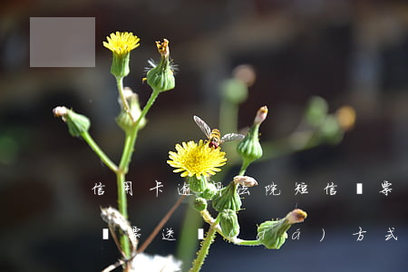 信用卡逾期法院短信傳票文本 欠信用卡法院傳票送達(dá)方式