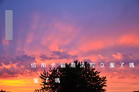 信用卡逾期法院立案了嗎(信用卡逾期法院立案了嗎)