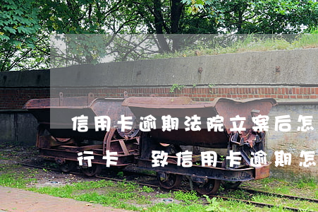 信用卡逾期法院立案后怎么解決(法院凍結銀行卡導致信用卡逾期怎么辦)