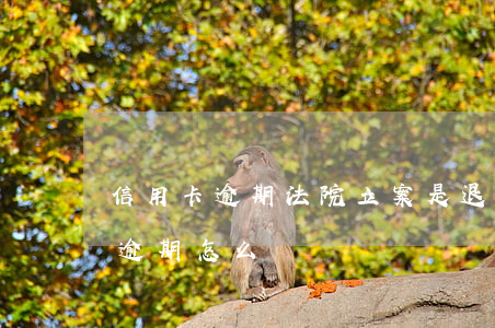 信用卡逾期法院立案是退贓嗎(因判刑信用卡逾期怎么辦)