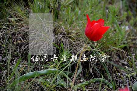 信用卡逾期法院管轄異議