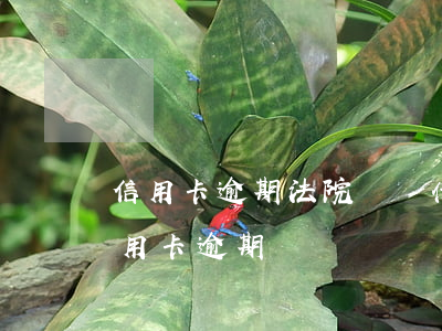 信用卡逾期法院終結什么意思(民事訴訟法信用卡逾期)