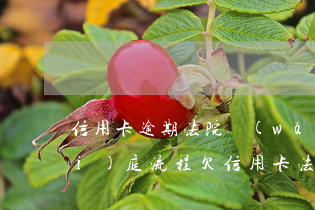 信用卡逾期法院網(wǎng)上開(kāi)庭流程 欠信用卡法院開(kāi)庭怎么處理