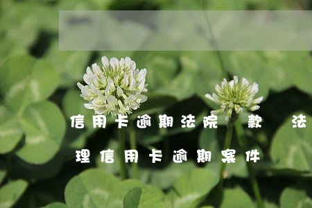 信用卡逾期法院罰款嗎(法院會(huì)受理信用卡逾期案件嗎)