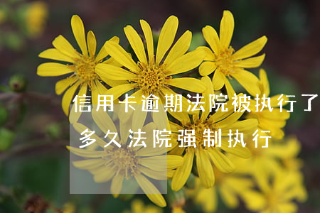 信用卡逾期法院被执行了 欠信用卡被起诉了多久法院强制执行
