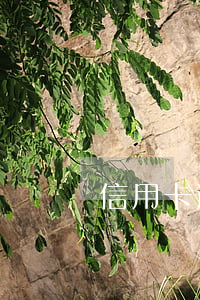 信用卡逾期法院裁定駁回(信用卡逾期法院起訴)