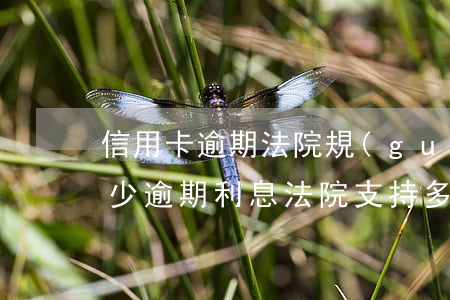 信用卡逾期法院規(guī)定的利率是多少(逾期利息法院支持多少)