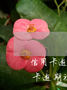 信用卡逾期法院視頻調(diào)解(信用卡逾期被通知訴前調(diào)解)