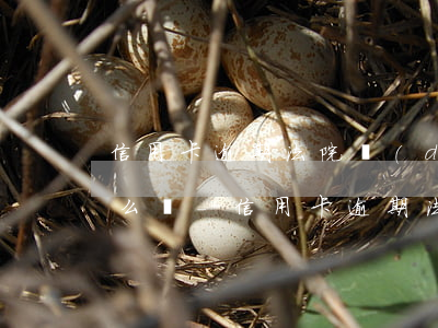 信用卡逾期法院調(diào)解不去會怎么樣-信用卡逾期法院調(diào)解不去會怎么樣嗎