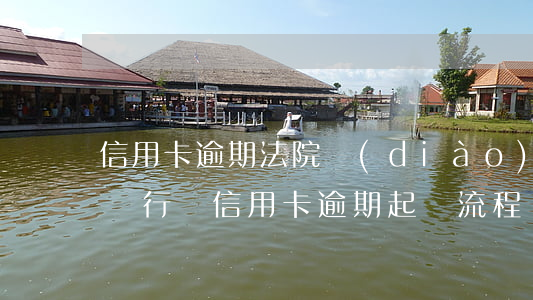 信用卡逾期法院調(diào)解怎么處理(銀行對信用卡逾期起訴流程)