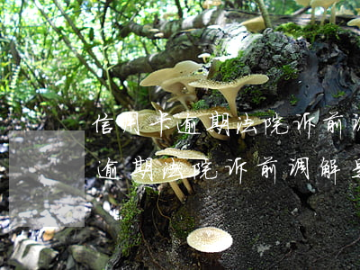 信用卡逾期法院诉前调解是真的吗-信用卡逾期法院诉前调解是真的吗吗