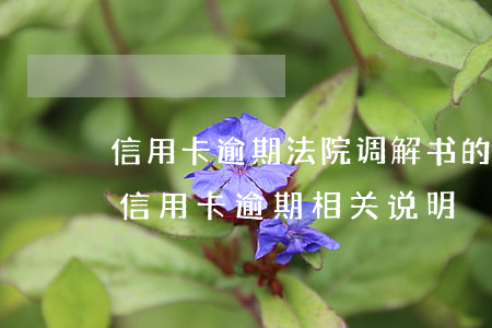 信用卡逾期法院调解书的正确模板-民法典信用卡逾期相关说明