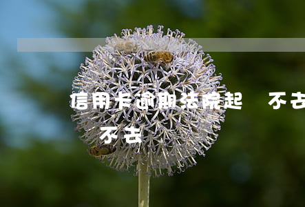 信用卡逾期法院起訴不去（信用卡逾期法院起訴不去）