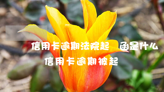 信用卡逾期法院起訴函是什么樣的(收到短信說信用卡逾期被起訴)