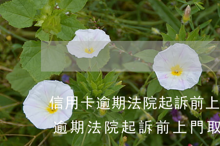 信用卡逾期法院起訴前上門取證嗎-信用卡逾期法院起訴前上門取證嗎