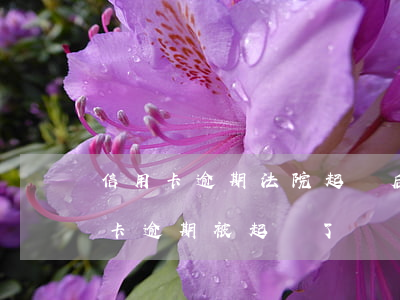 信用卡逾期法院起訴后仍沒還怎辦-欠信用卡逾期被起訴了