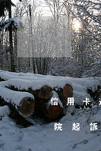 信用卡逾期法院起訴后果(信用卡逾期多久法院起訴)