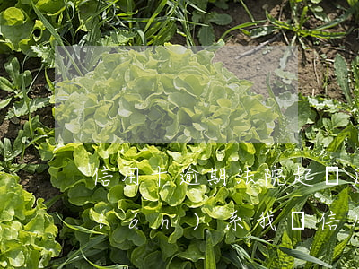 信用卡逾期法院起訴后的流程(有律師聯(lián)系我說信用卡逾期起訴了)