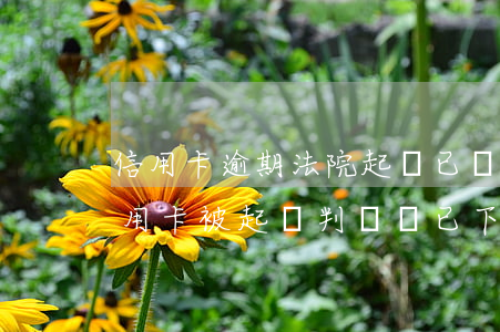 信用卡逾期法院起訴已結(jié)清(欠信用卡被起訴判決書已下來)