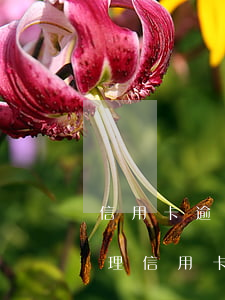 信用卡逾期法院起訴怎么協(xié)商處理(信用卡逾期法院起訴怎么協(xié)商處理)