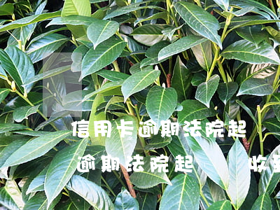 信用卡逾期法院起訴會收到信息嗎-信用卡逾期法院起訴會收到信息嗎是真的嗎