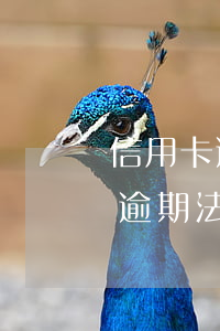 信用卡逾期法院起訴有必要出庭嗎-信用卡逾期法院起訴有必要出庭嗎知乎