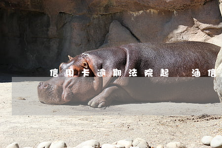 信用卡逾期法院起訴涵 信用卡 欠款 起訴