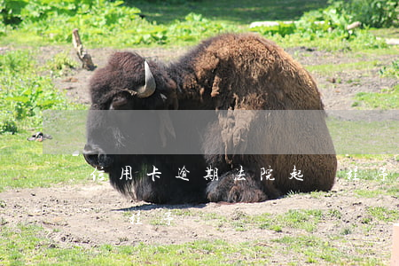 信用卡逾期法院起訴程序(信用卡逾期法院起訴程序)